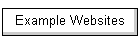 Example Websites